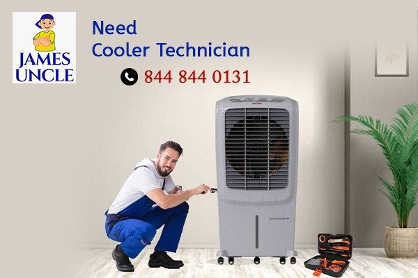 Cooler Technicians: Your Go-To Experts for Summer Cooling Needs